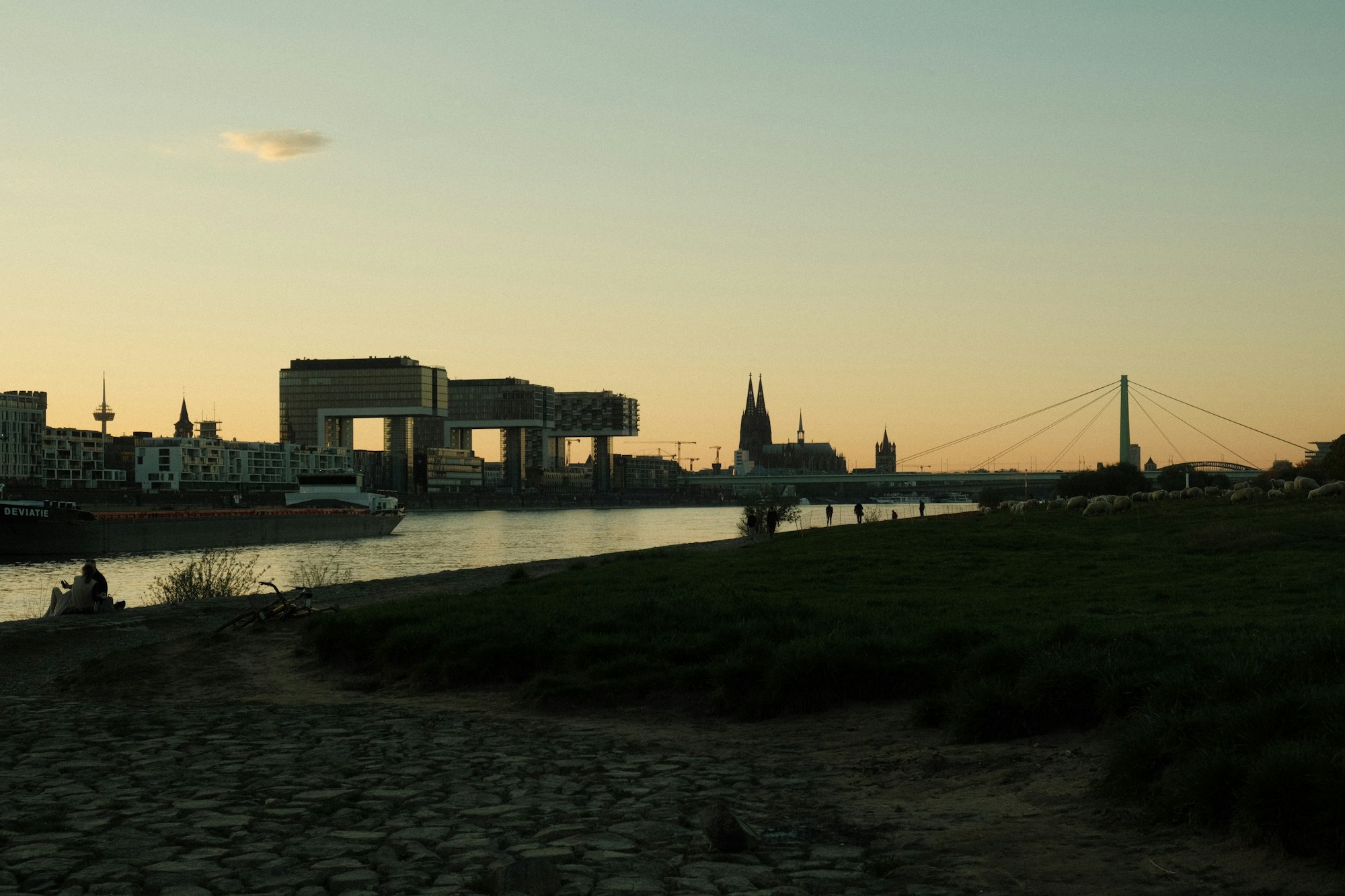Kölner Skyline mit Kranhäusern und Dom am Rhein in der Abenddämmerung. David Real Estate in NRW